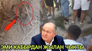 СНОС УЧУРУНДА КАБЫРДАН ЖЫЛАН ЧЫКТЫ бул эмненин белгиси?