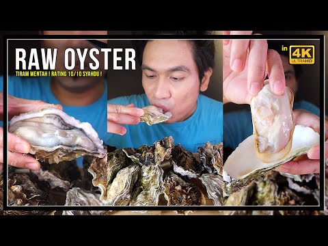 RAW OYSTER ! tiram mentah ! (Mukbang Malaysia) RATING 10/10