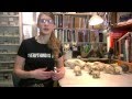 Health and Domestication of Dogs