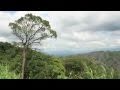 Forest Stewardship Council Certification