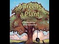 Understanding Trees