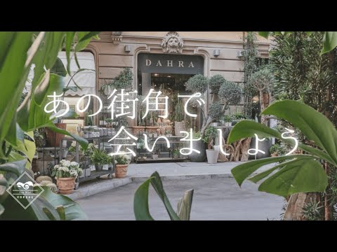【フリーBGM】あの街角で會いましょう【アコーディオン】