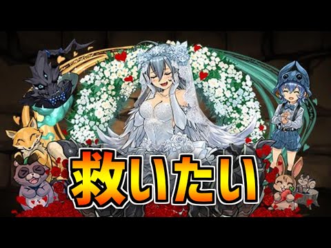 花嫁ゼラを救いたい。【パズドラ】