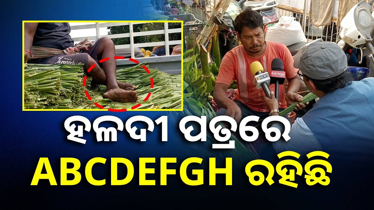 ହଳଦୀ ପତ୍ରରେ ପିଠା ଖାଉଥିବା ଲୋକ ଏହାକୁ ଶେଷ ଯାଏ ନିଶ୍ଚିତ ଦେଖନ୍ତୁ || Knews Odisha
