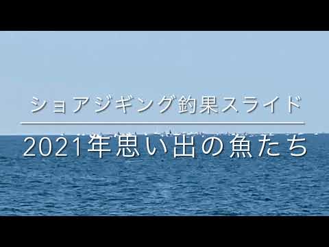 2021年思い出の魚たち