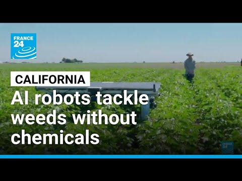 YouTube video thumbnail: AI Robots Tackle Weeds Without Chemicals