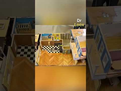 500 000 termites dans une maison voici ce qui s’est passé