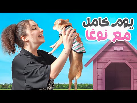 نوغا مكتئبة.. قضيت يوم كامل معاها 🐶💔