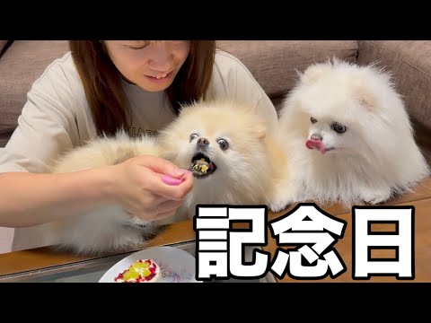 我が家に来てくれて本当にありがとう