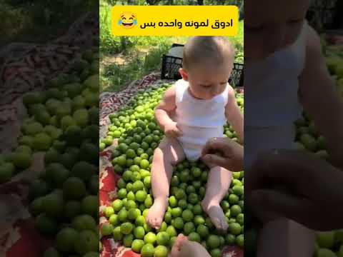 ادوق لمونه واحده بس #ضحك #ضحكه #funny #viralvideos