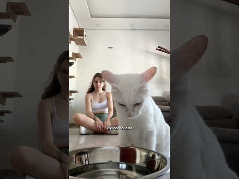 Pípi precisa fazer pipi pt. 2 #gatinhosfofos #gateiros