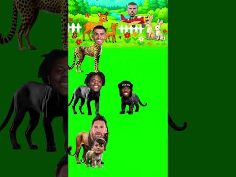 Hangisi Benim Gerçek Ronaldo Babam?😱🤔 (Ronaldo, Speed, Messi, RonaldoJr)
