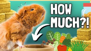 How Much to Feed Guinea Pigs: Complete Diet Guide 🐹