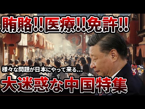 【総集編】早く解決させたい‼日本が被害を被っている中国との問題特集【ゆっくり解説】