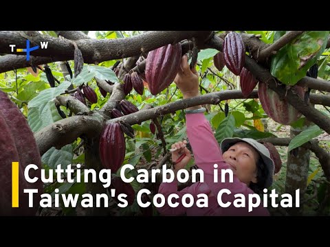 YouTube video thumbnail: Cocoa Farmers in Southern Taiwan Cut Carbon Emissions With Co-Op
