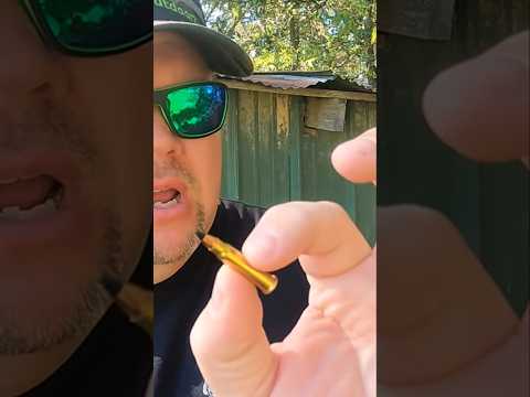 King of rimfire the 17hmr!