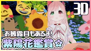 【3D配信/6月編】新しくお迎えした衣装お披露目👗陽花鑑賞＆ファッションショー🌺💓雑談も添えて🍵Chatting【#Cham3D/Virtu
