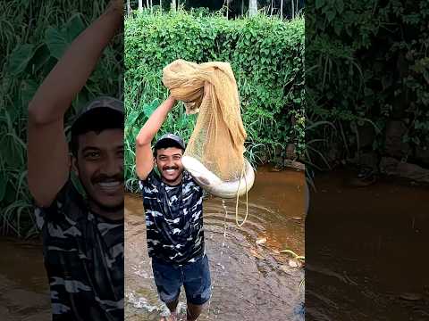 പിള്ളേര് കാരണം കിട്ടിയ വാള.. FULL VIDEO IN FIRST COMMENT👇👇 | traditional fishing | village fishing |