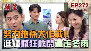 願望 EP272 完整版｜努力抱孫大作戰！進輝拉著愛妻碧玉瘋狂放閃 逼走冬雨不住陳家！追蹤靜雯的下落 世賢一肚子壞水支持寶琴！｜Desires｜【十全果醋】