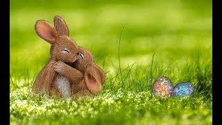 Привет СОСЕДИ! Сезон 1. Серия 4.