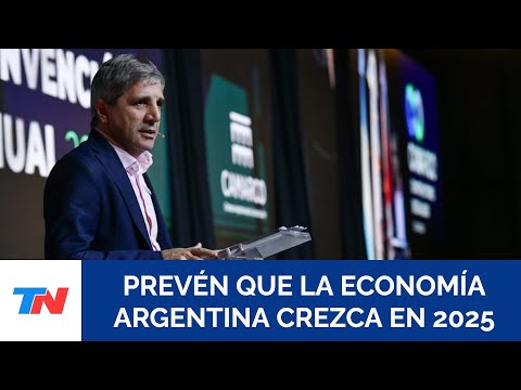 CÓMO FUNCIONARÁ LA ECONOMÍA EN 2025 I Las proyecciones previstas por un grupo de consultoras