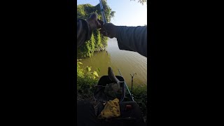 周末野外钓鱼，第一视频的乐趣 Wild fishing on weekends, the fun of the first video. #户外捕鱼 #捞也是技术活 #捕鱼 #捉鱼 #fishing