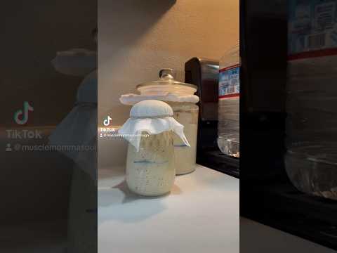 2 million views on Facebook! What to do when you run out of #sourdoughstarter #sourdough #breadtalk