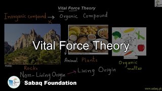 Vital Force Theory