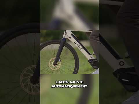 Niche Mobility et transmission numérique ADTS
