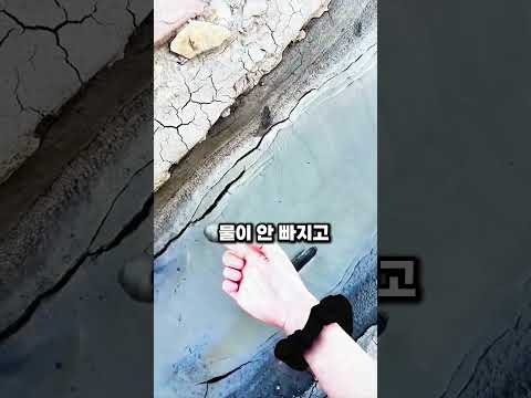 금이 숨겨져있는 진흙?