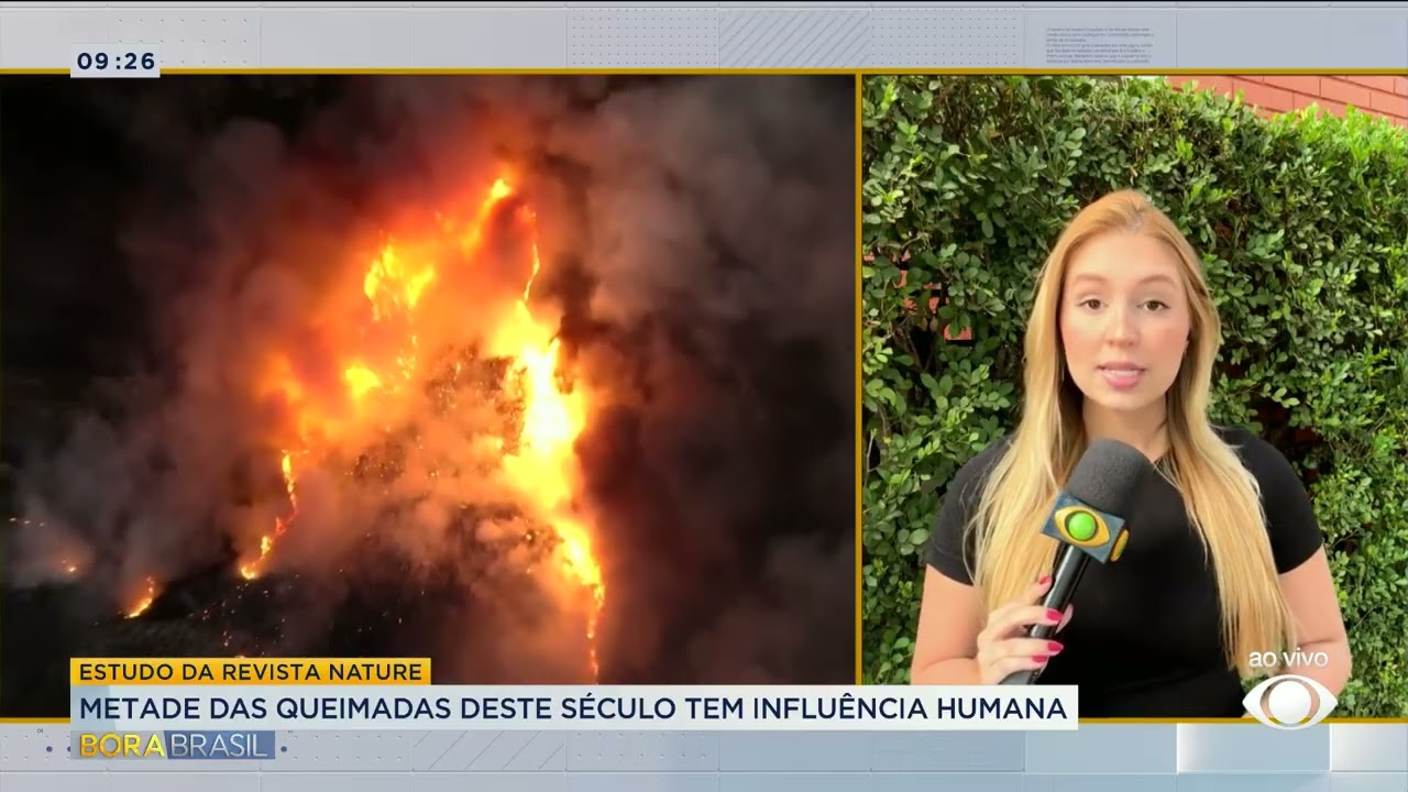 Metade das queimadas deste século tem influência humana