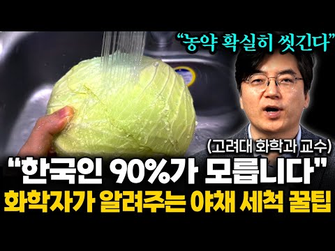 "베이킹소다, 식초 아닙니다" 한국 사람 대부분이 잘못 알고 있는 과일 세척법 (이광렬 교수 2부)