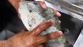 動画サムネイル