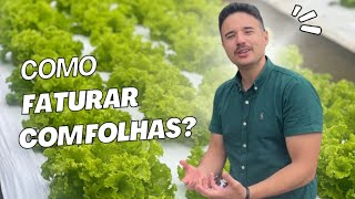Aprenda como ganhar dinheiro com hortaliças folhosas