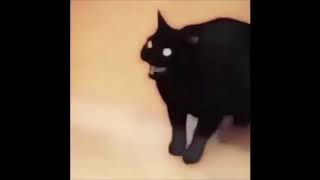 Bababooey