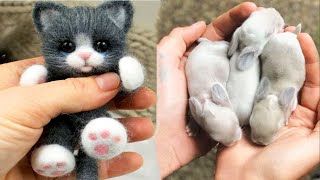 AWW Animals SOO Cute! Cute baby animals Videos Compilation cute moment of the animals #27 2025