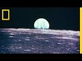Moon Landing Reactions and Impact