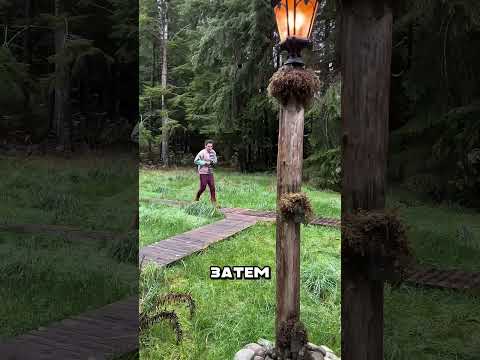 Мужик уехал из города в настоящую сказку 🌲 #рекомендации #факты #шортс