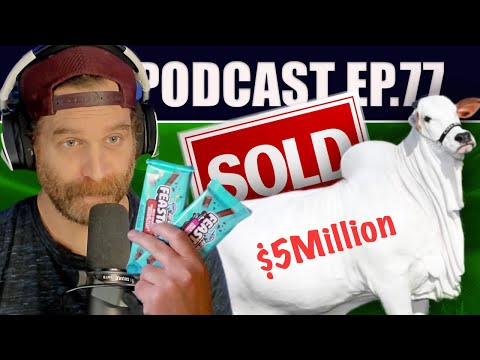 #77 Buying a Million-Dollar Cow, Banana Loyalty, and Reviewing Mr.
Beast's Chocolate Bars
