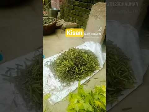 #humro #naukariyan #Naman bhabhi video 📸