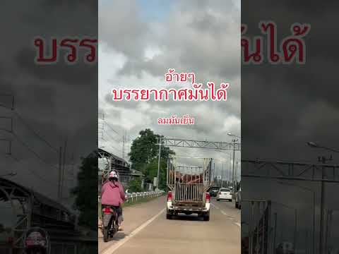 ลมมันเย็นดี