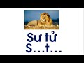 Kiến thức về từ 'sư tử'