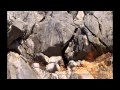 Aquifer Characteristics and Functions