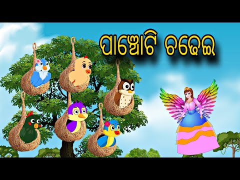 Panchoti Chadhei \\ Odia Gapa \\ Tiki Chadhei Gapa \\ Odia Moral Stories \\ Bird Story Odia \\ Gapa