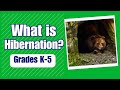 Hibernation in Animals
