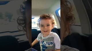 pode vim cavalo #funny #comedy #animals