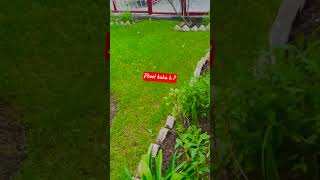 beautiful garden of pindi point chairlift #ytshorts #chairlift #travel