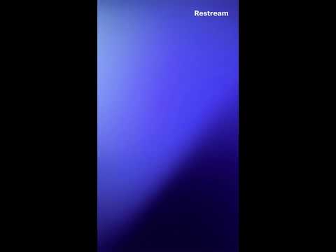 cat's adventure 🥰🥰