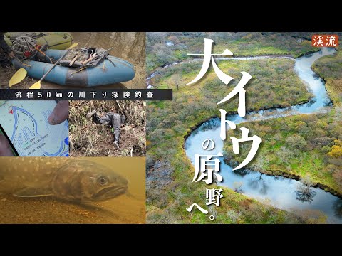 【渓流釣り】アプローチ難の原野は大イトウとアメマスの楽園なのか。4日間をかけた川下り探険釣査！