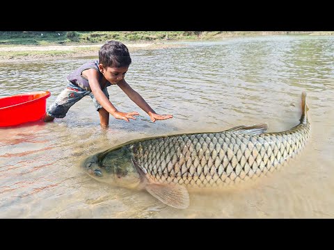 Amazing Traditional Boy Fish Catching By Hand in Water | Amazing Hand Fishing Video #Fish